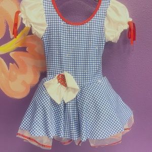 Dorothy Type Costume